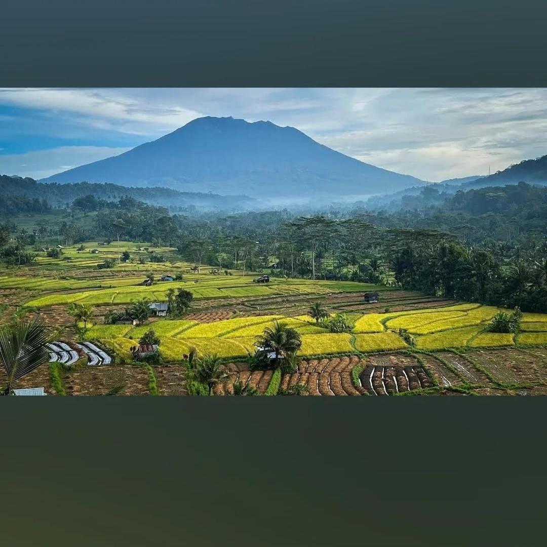 Lumbung Ayu Sari And Spa Sidemen  Exterior photo